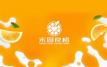 某良橙——铁岭LOGO设计